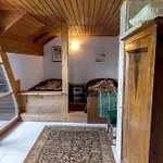 With Bbq In 54727 Novo Mesto