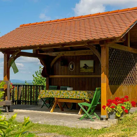 With Bbq In Novo Mesto 54727 Novo Mesto