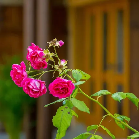 Casa de Férias With Bbq In Novo Mesto 54727