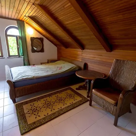 With Bbq In 54727 Novo Mesto