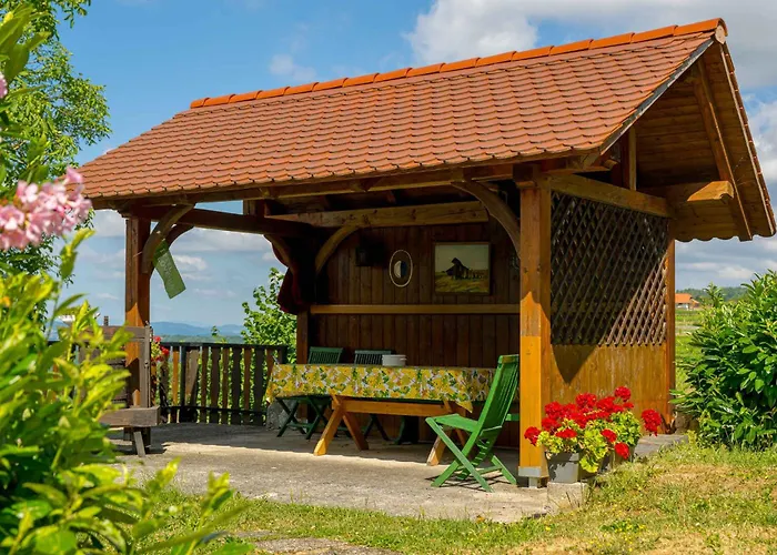 With Bbq In Novo Mesto 54727 Novo Mesto