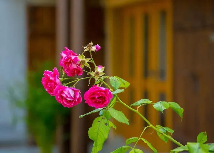 Сasa de vacaciones With Bbq In Novo Mesto 54727