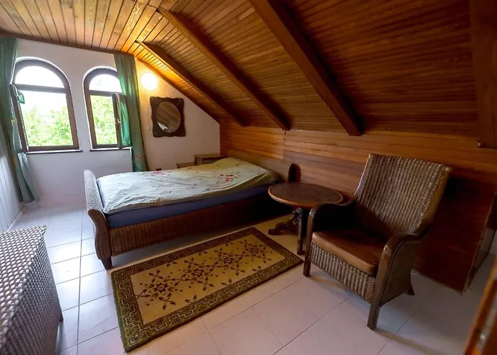 With Bbq In Novo Mesto 54727 Novo Mesto