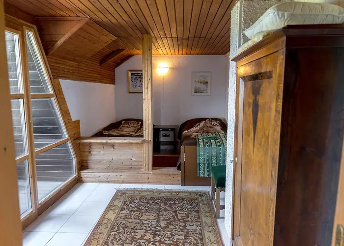 With Bbq In Novo Mesto 54727 Novo Mesto