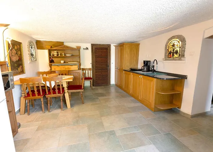 With Bbq In Novo Mesto 54727 Novo Mesto