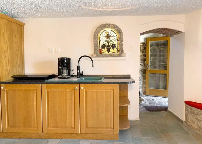 With Bbq In Novo Mesto 54727