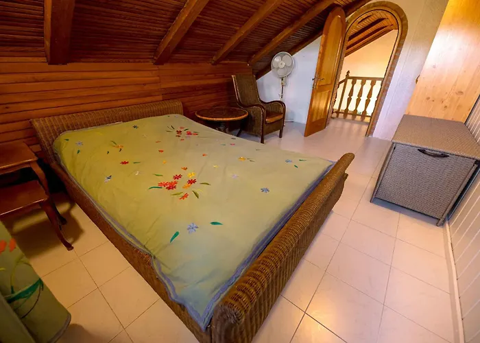 With Bbq In Novo Mesto 54727