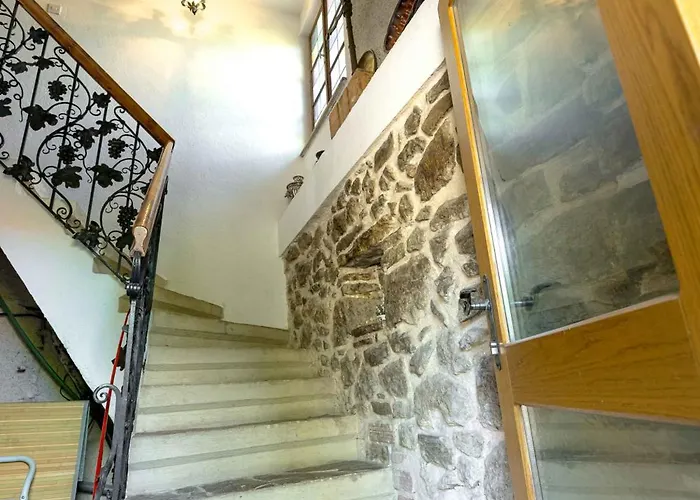 With Bbq In Novo Mesto 54727 Novo Mesto