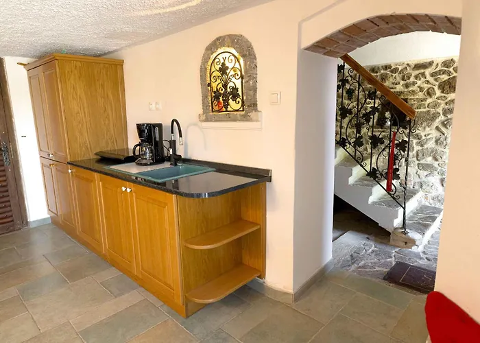 With Bbq In Novo Mesto 54727 Novo Mesto